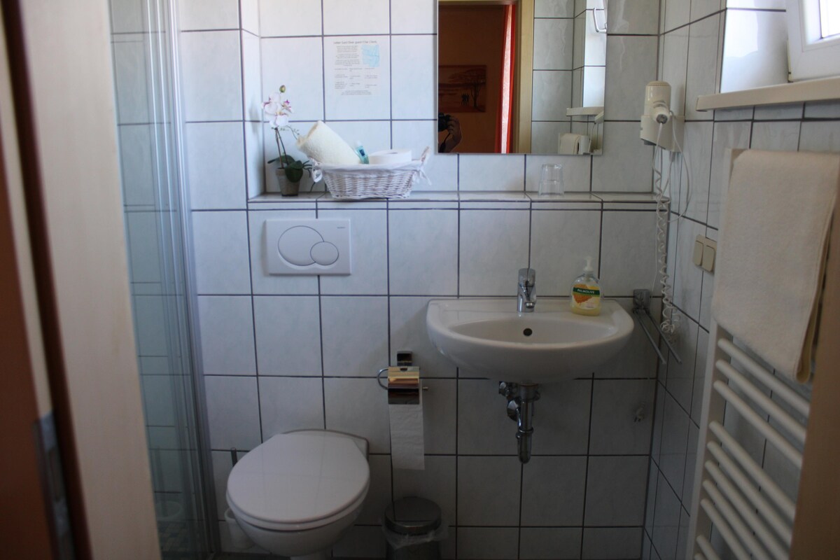 单人房-标准私人浴室-乡村