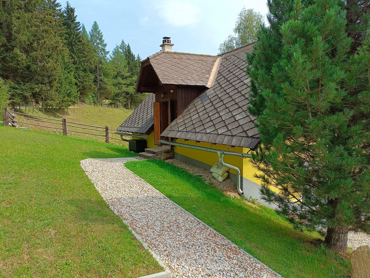 Holiday home in Prebl / Carinthia near ski area