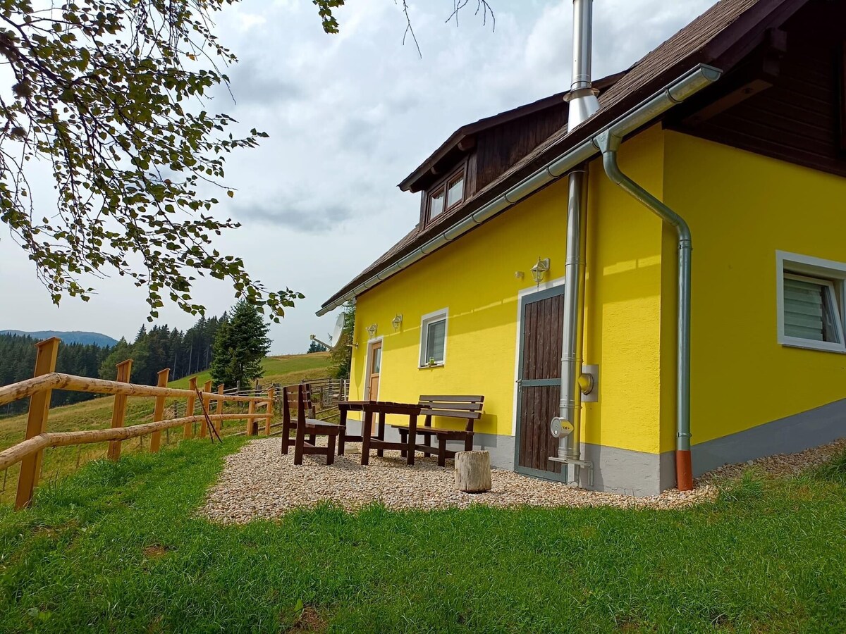 Holiday home in Prebl / Carinthia near ski area