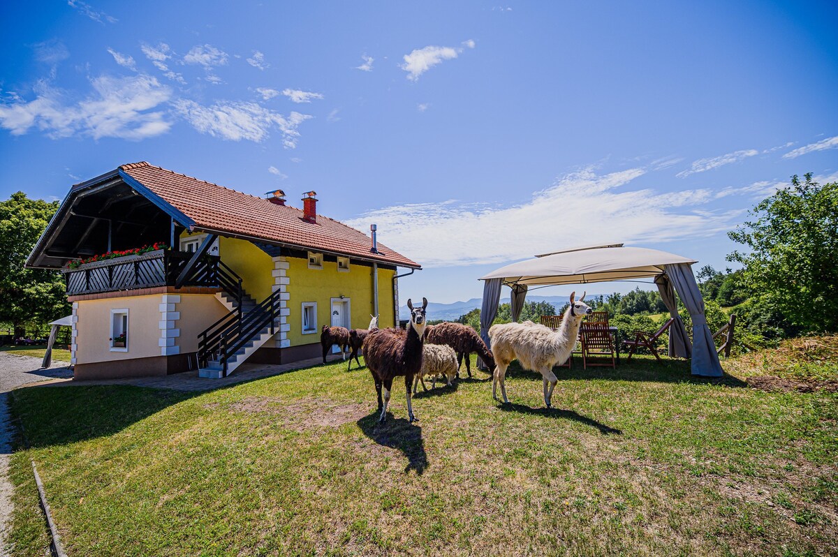 Apartment in Pony Ranch - Zosi