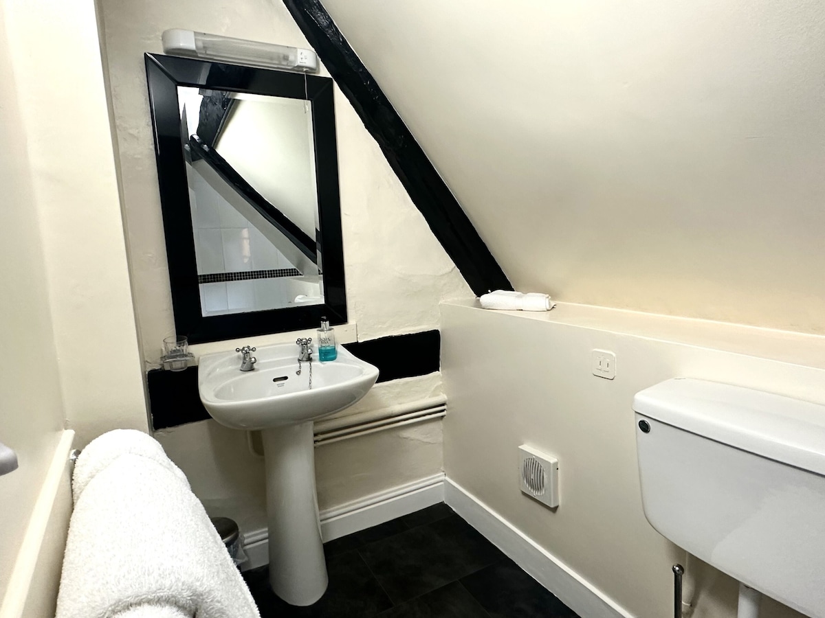 Double ensuite room @ The Scole Hotel