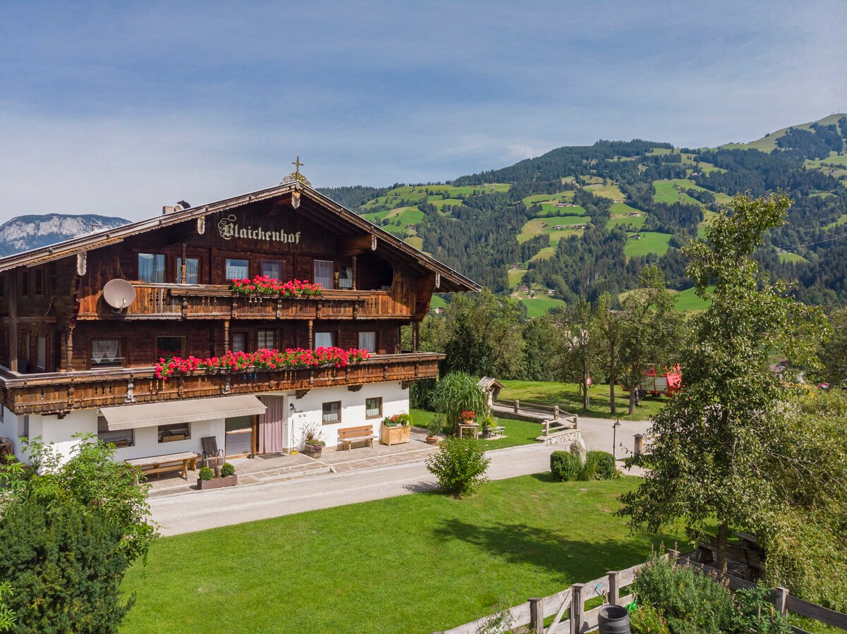 Lovely apartment among the Alps