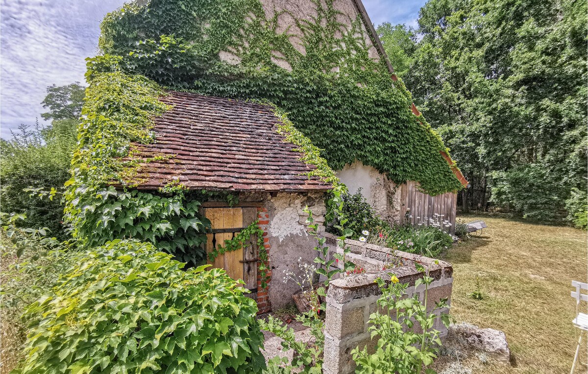 谢尔河畔塞勒（ Selles-sur-Cher ）的漂亮房源，提供无线网络和无