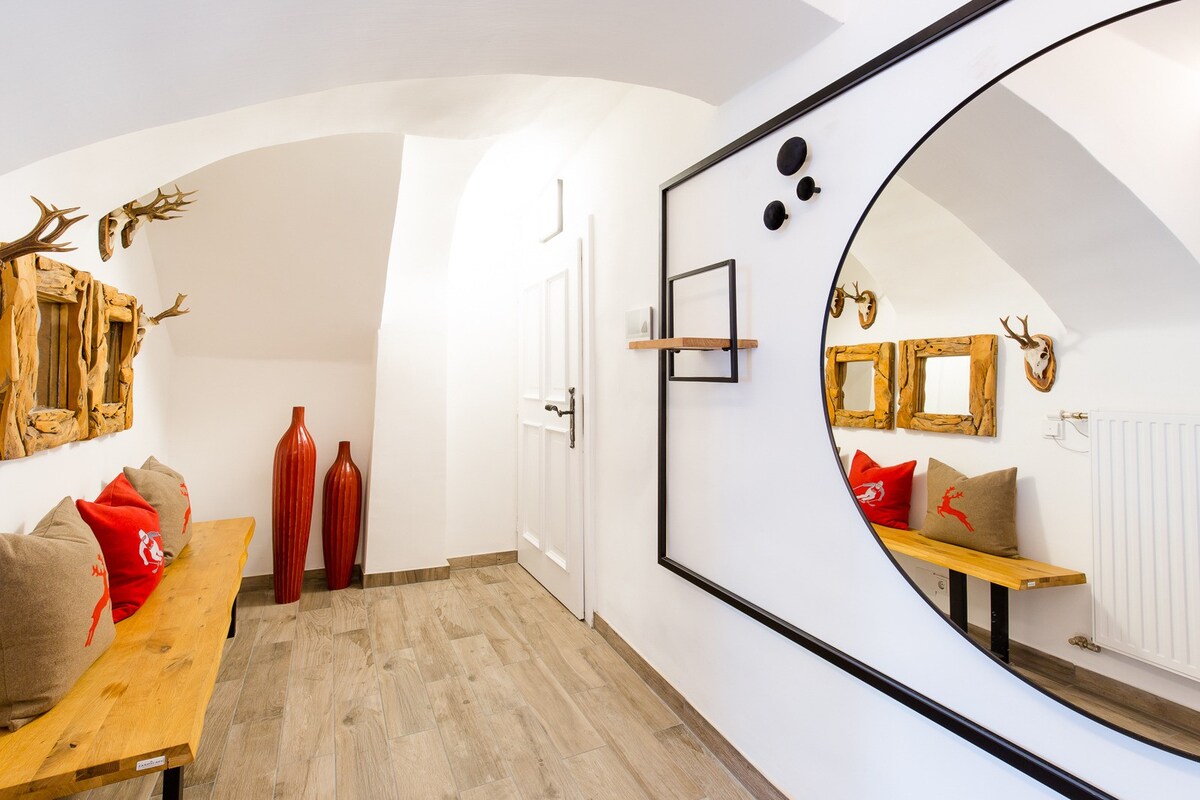 萨尔茨堡130平方米可容纳6位房客的公寓（ 171893 ）