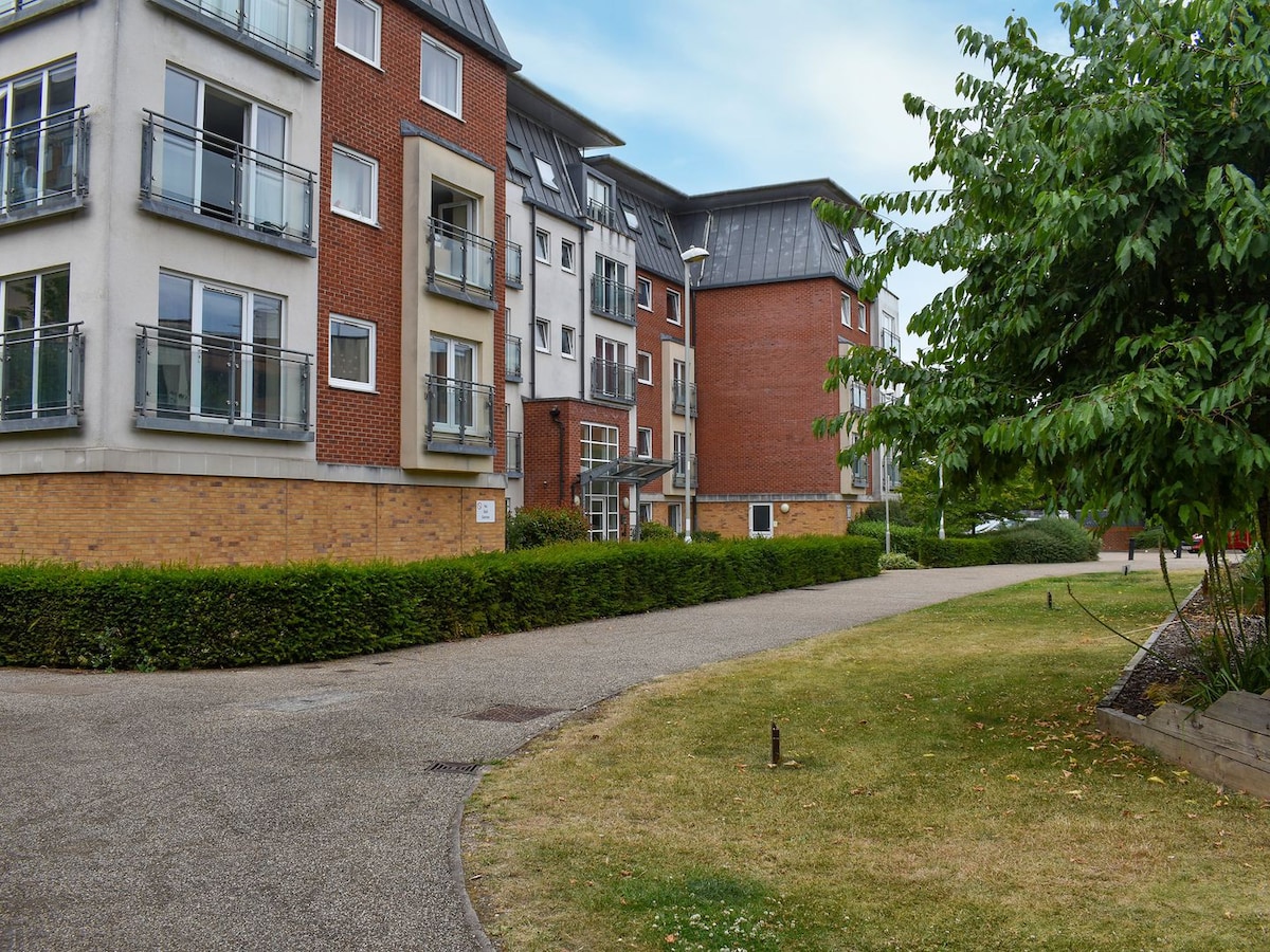 Basingstoke Skyline Festival View - Uk40166