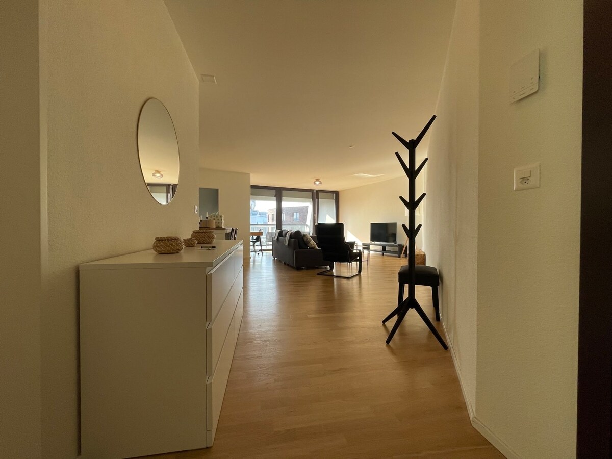 Big Apartment in a good Location of Basel
