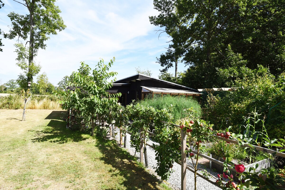 Cozy holiday house on Öland | Se04010