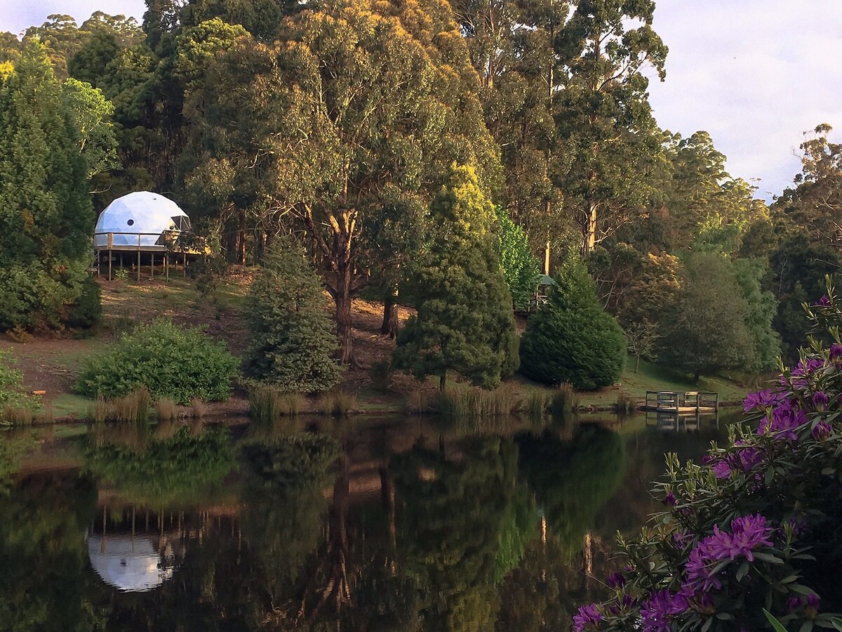 Gleneagle Tasmania | Wollemi Rise Luxury Dome