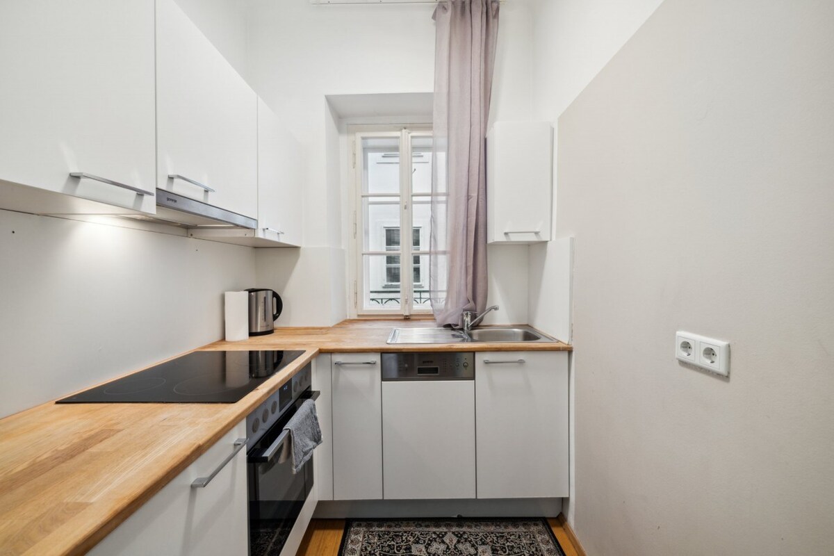 Lovely 1 bedroom apartment in Mariahilf Vienna
