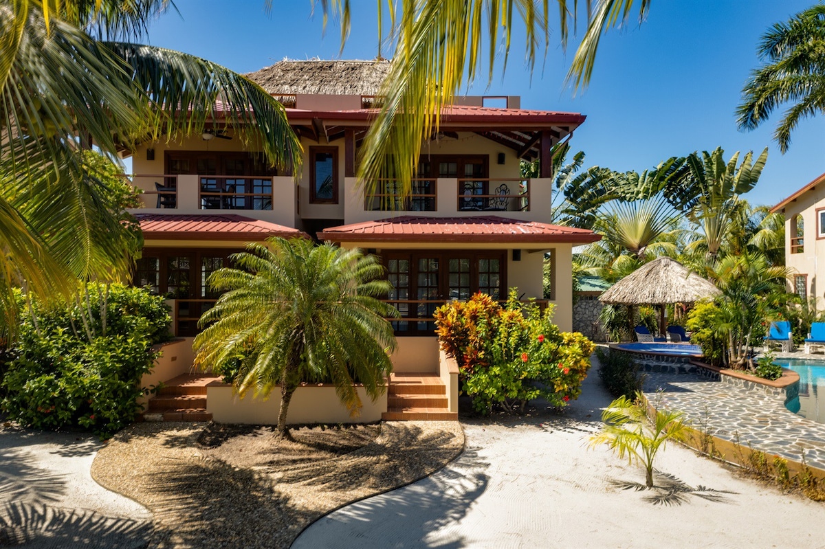 俯瞰加勒比海的美丽岛屿联排别墅