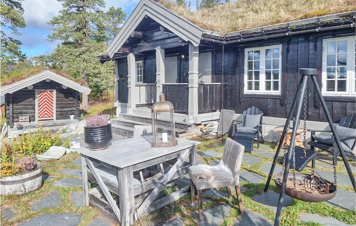 4 bedroom pet friendly home in Eggedal
