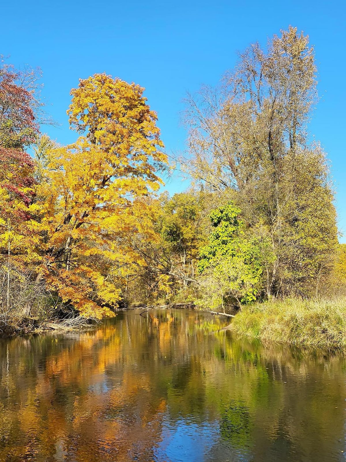 Private Pool-150 Acres of Nature, Red House