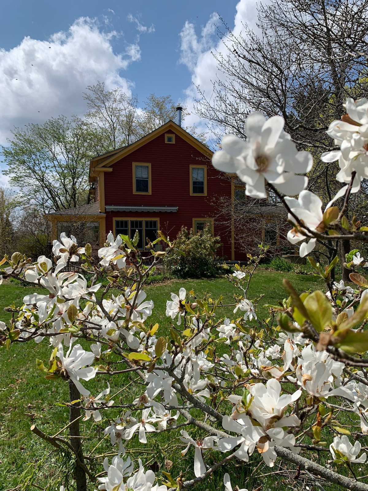 Rose Cottage-Charming, Comfortable & Ocean Breezes