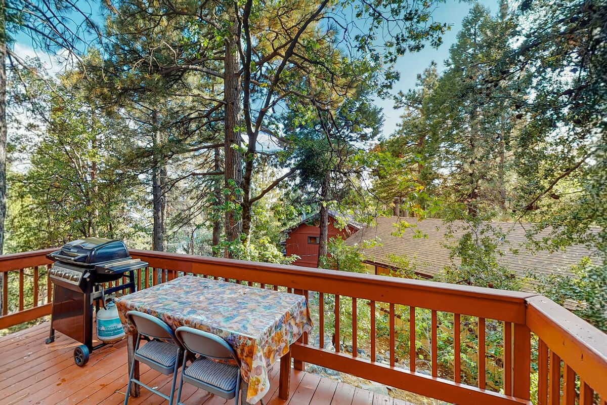 Cozy 2BR with scenic views & deck, dog-friendly