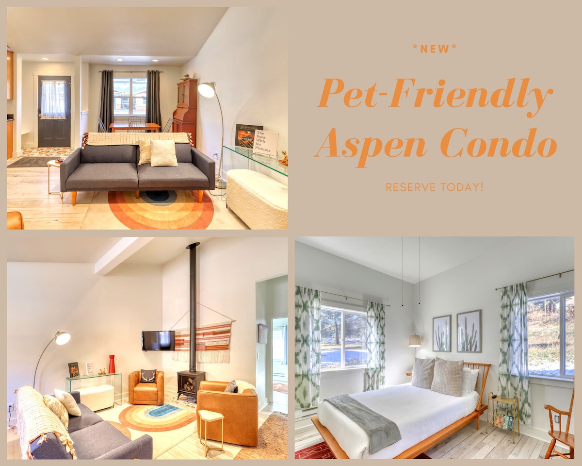 Pet Friendly - Aspen Condo