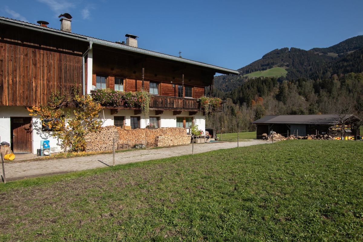 Wildschönau可容纳4位房客的公寓，面积为60平方米（ 172486 ）