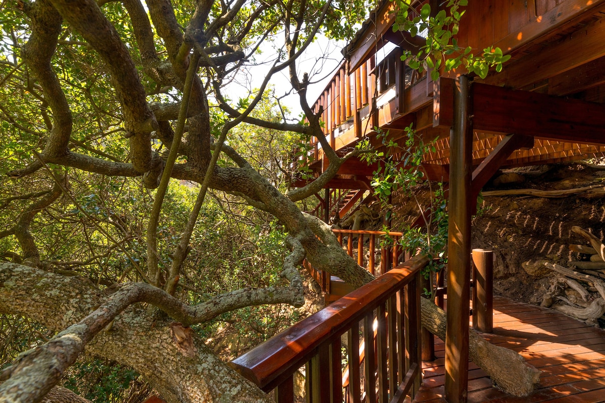 Ballots Bay Treehouse