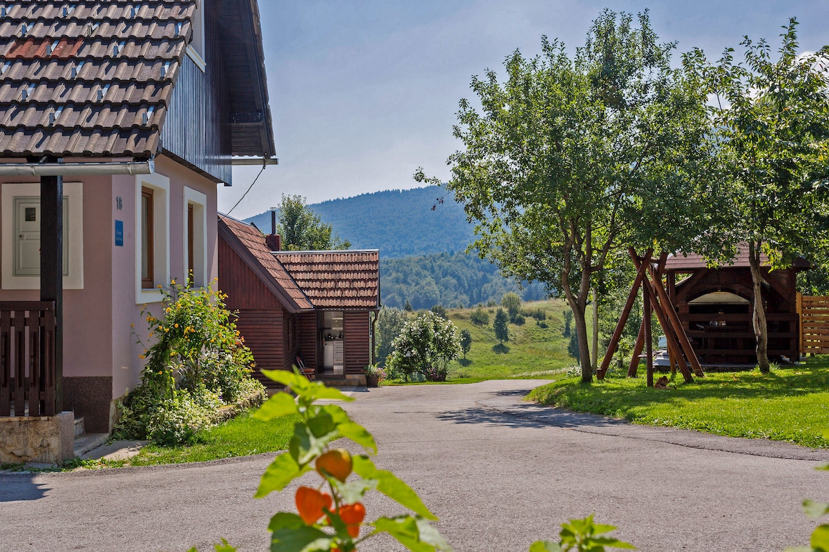 Andrea in Sertić Poljana  - Haus für 6 Personen