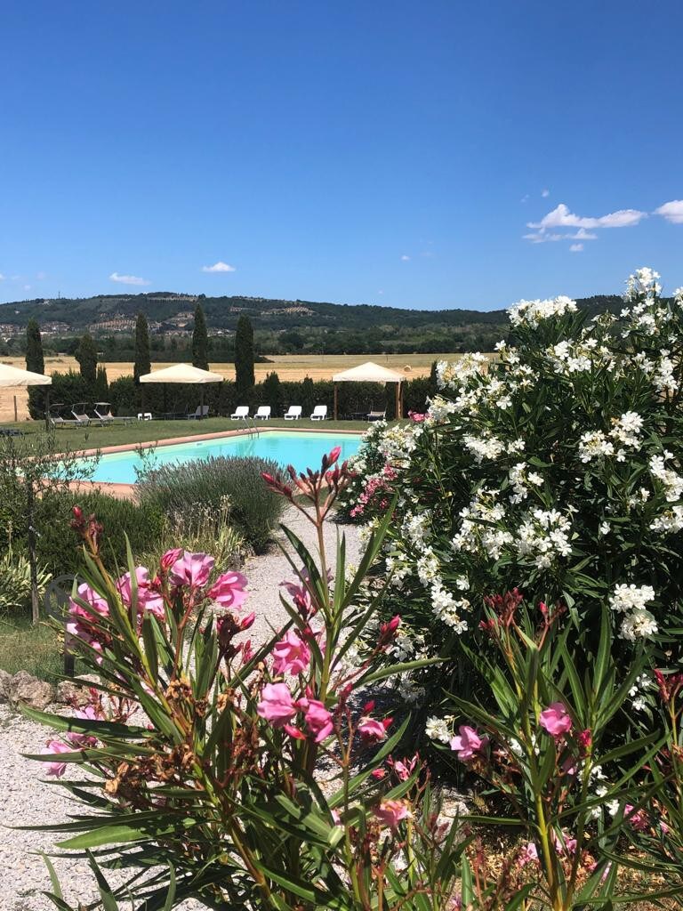 乡村别墅Girasole Crete Senesi Vakantie Huis