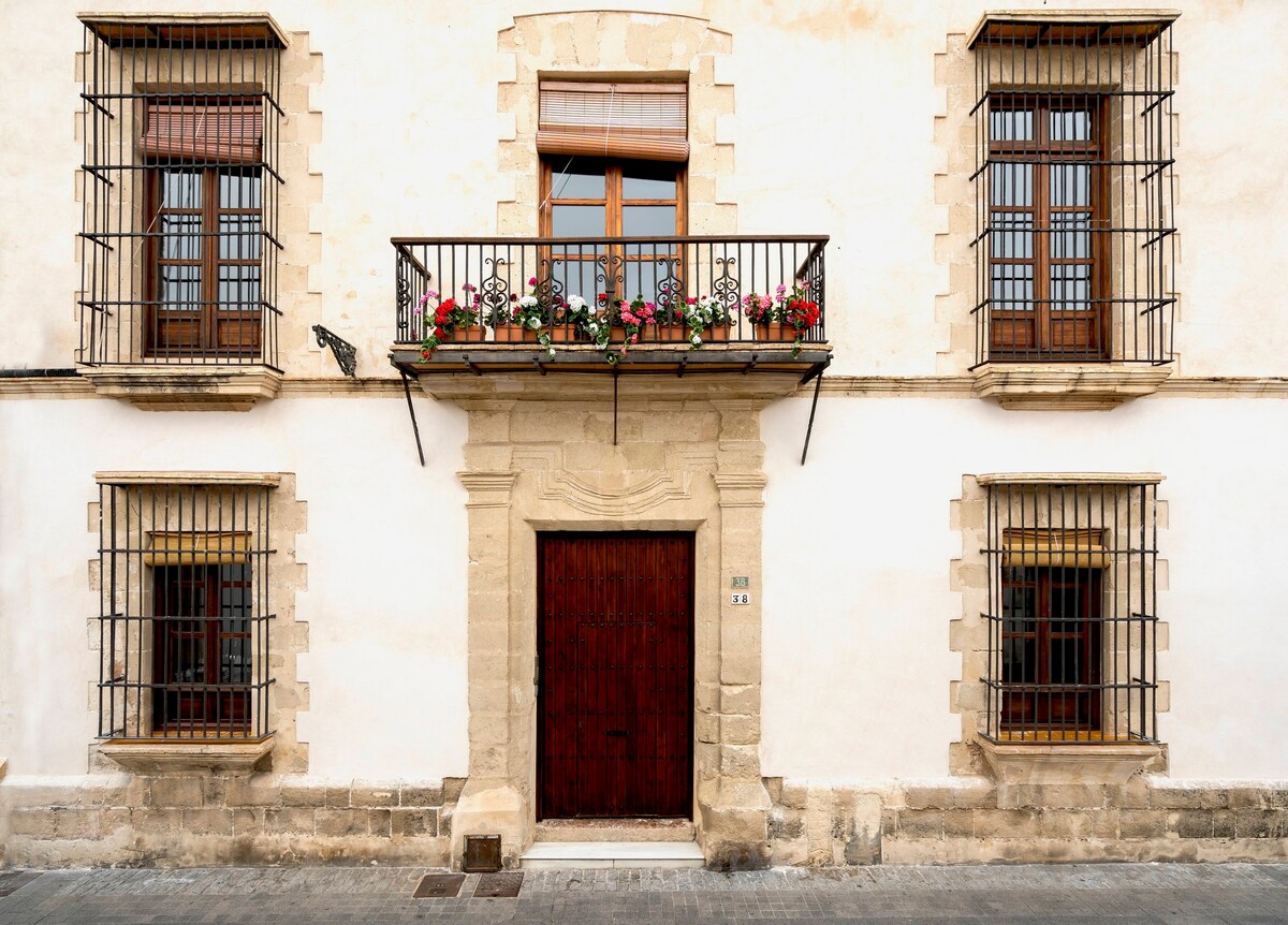 Casa Palacio Sur - Virgo