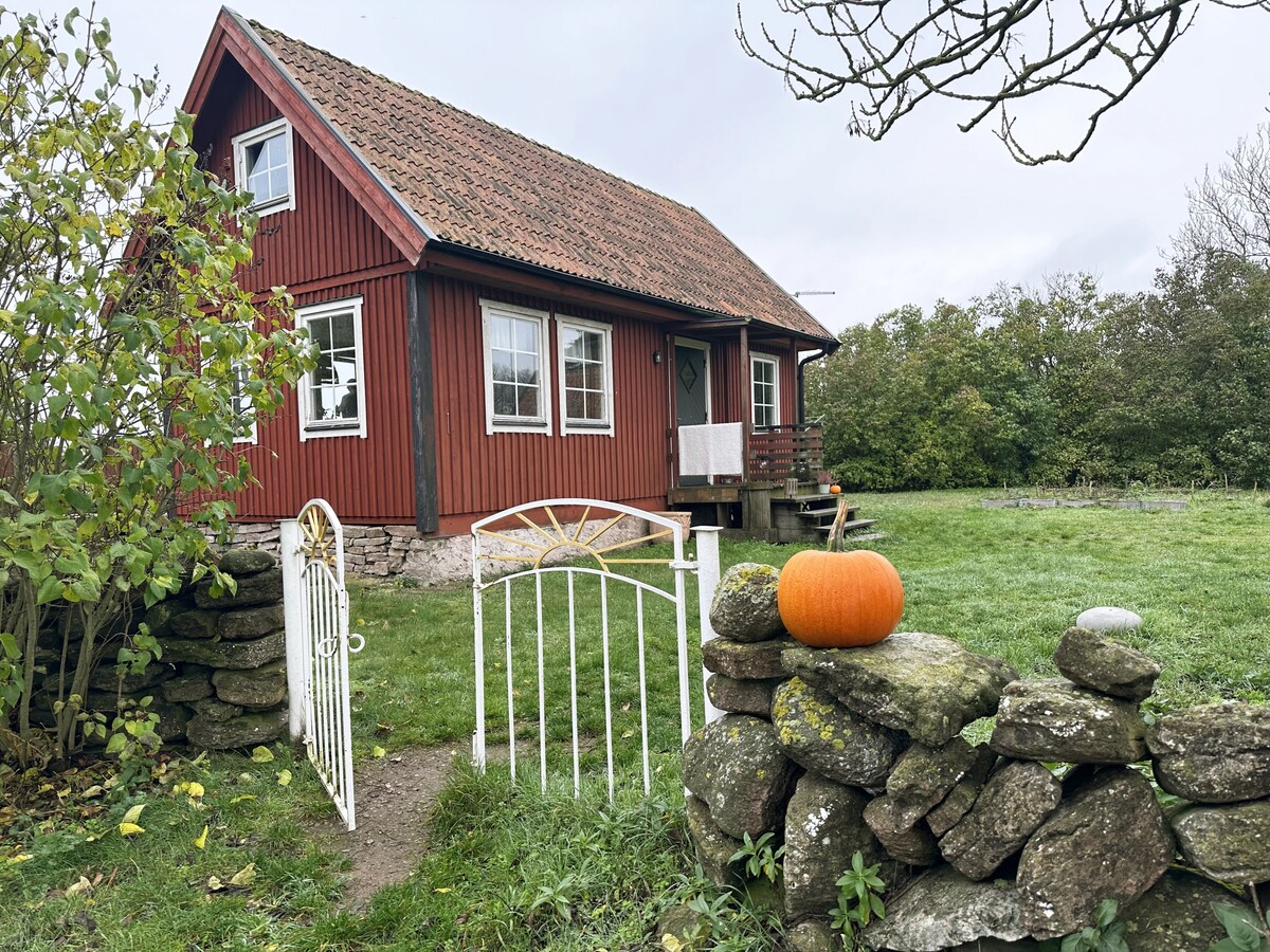 Cozy holiday house on Öland | SE04012