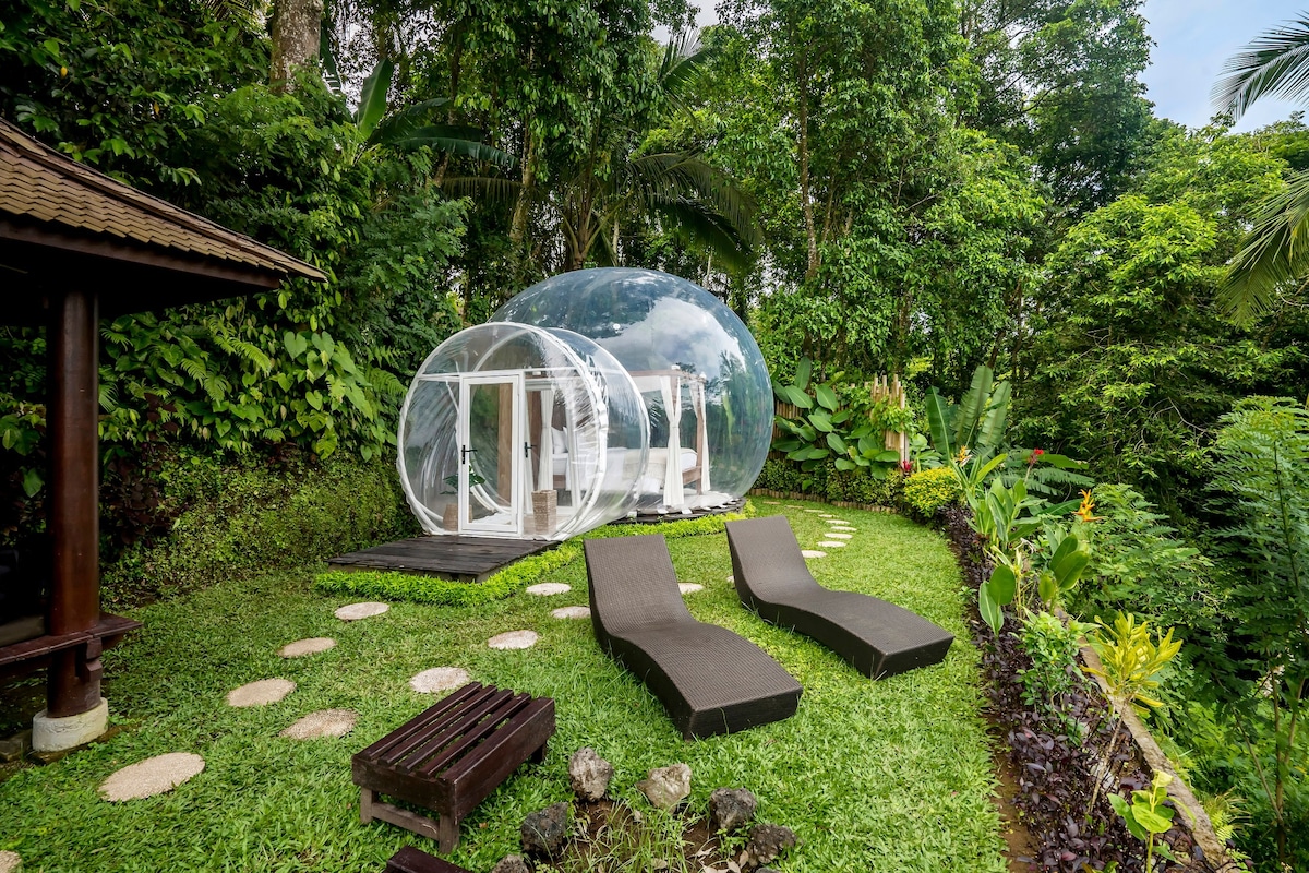 巴厘岛泡泡酒店（ Bubble Hotel Bali Ubud ） -仅限成人