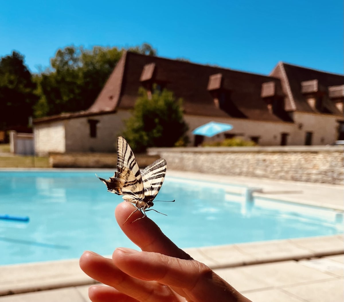 The Domaine de Camberoux