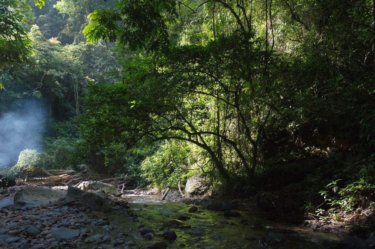 Holiday rental in Sumatra