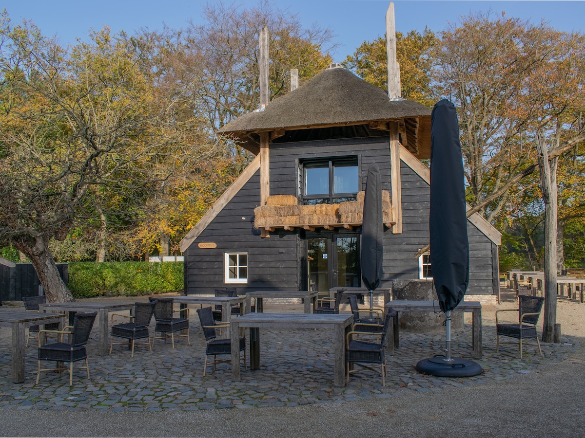 Luxury accommodation at the edge of the forest