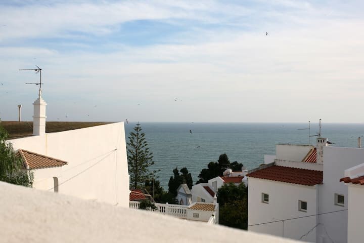 Apartment Ocenano  - Stunning ocean views