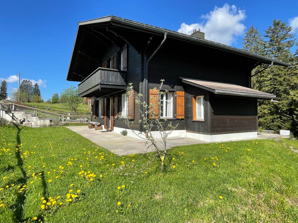 Lovely 4 Bedroom Chalet Great for Ski Holiday