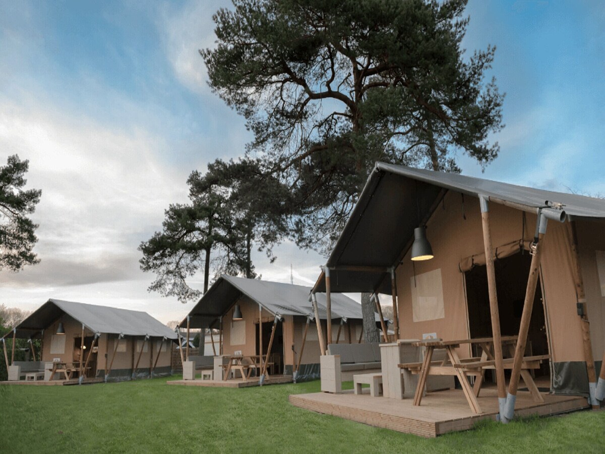 Glamping tent with sanitary facilities at a holiday park in the heart of Twente