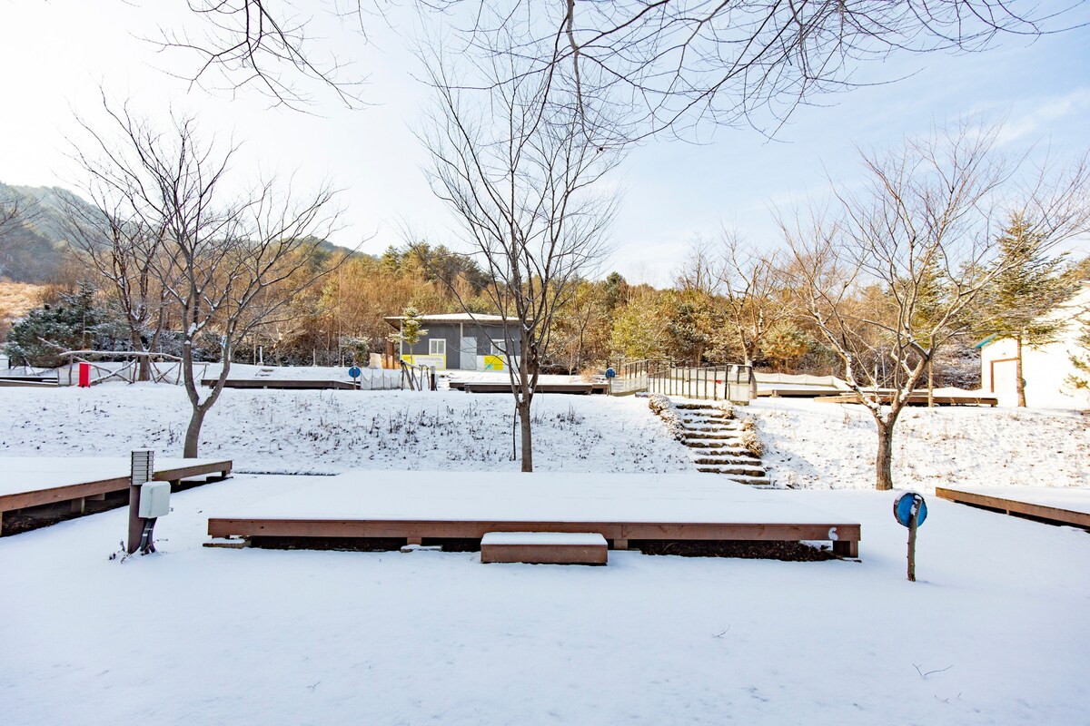 인제군 자작나무 숲 안에서 힐링할 수 있는 숙소 캠핑 위드존(데크)