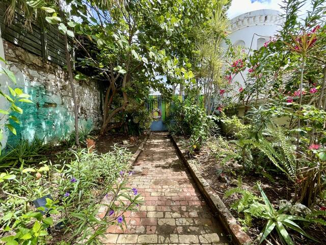 夏洛特阿马利亚 (Charlotte Amalie)的民宿