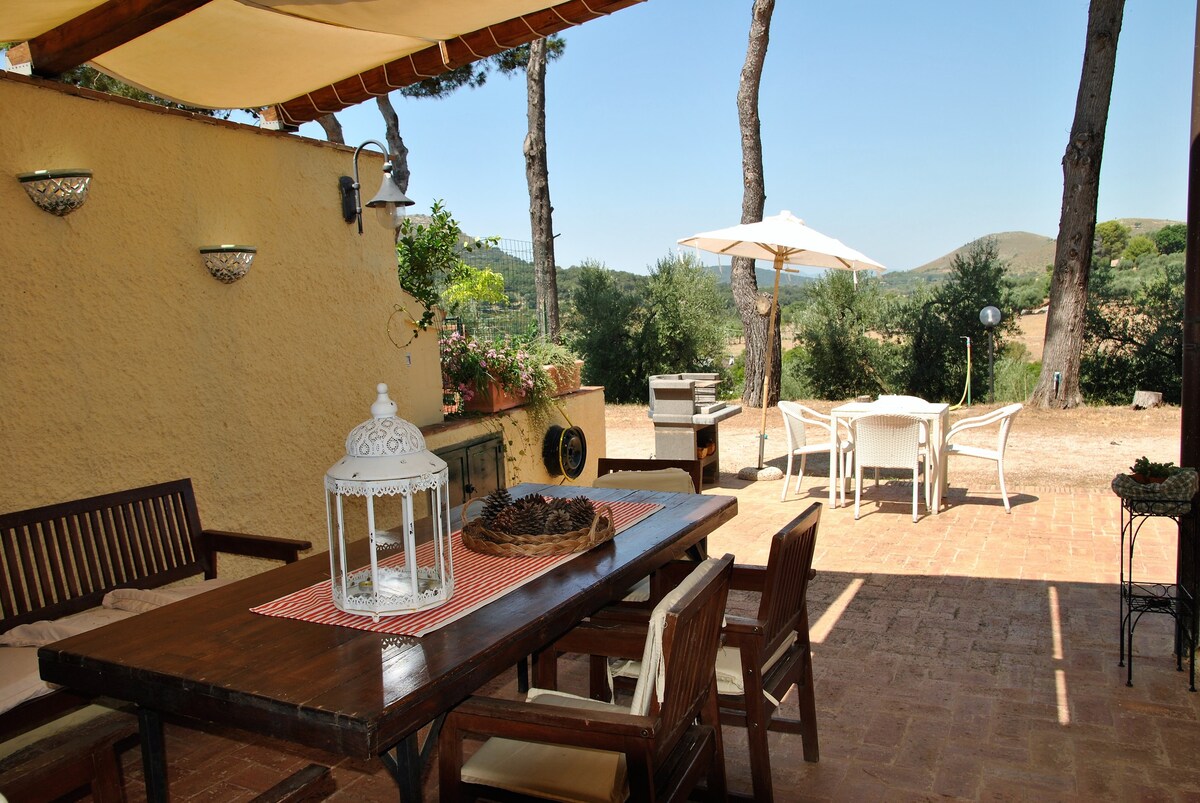 Saha tourist accommodation among olive trees and s