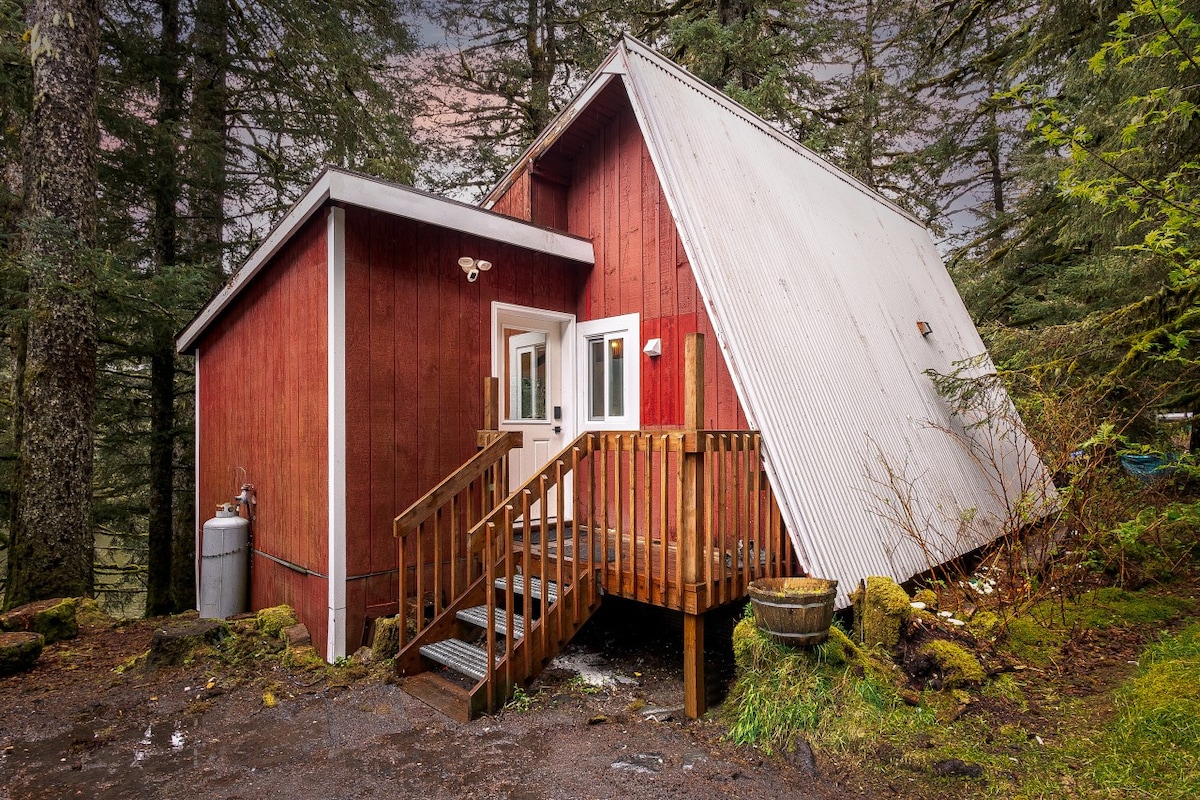 The Shoreline Cabin - An Authentic Alaskan Retreat