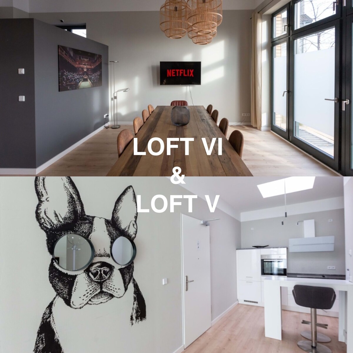 LOFT 5 & 6 |无线网络|无线网络| 15分钟HBF | Netflix |