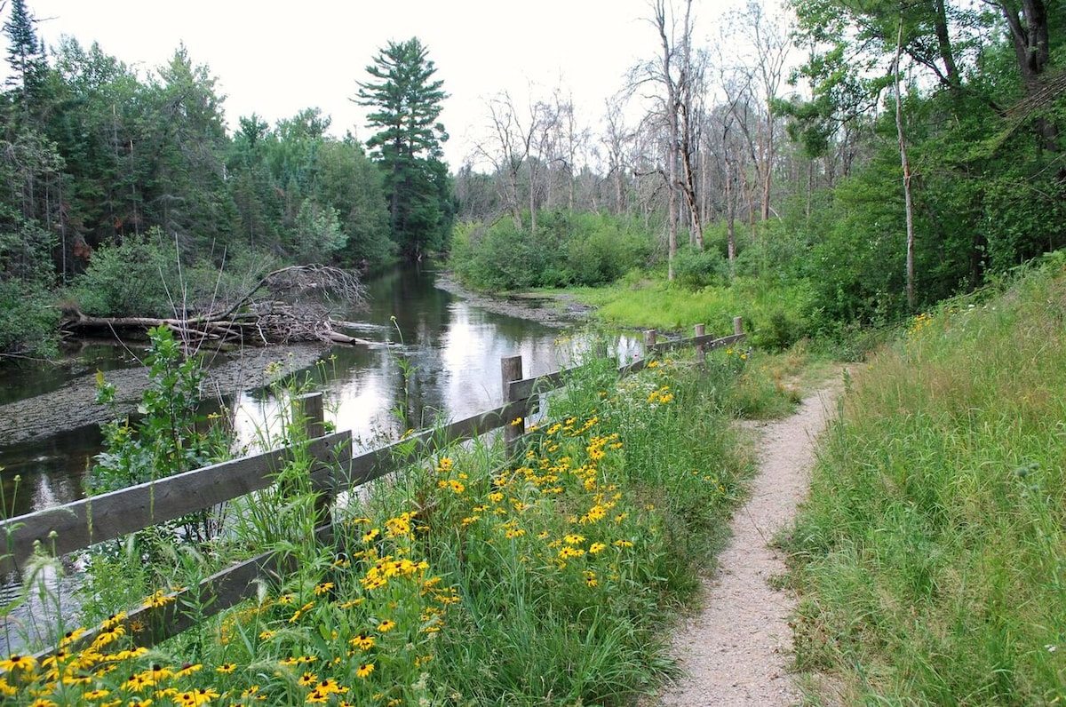 Elysian River Escape-Manistee River