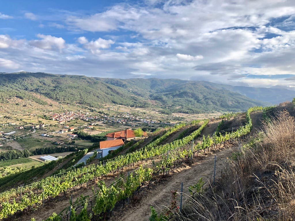 Quinta da Penada - Vineyard & Winery - Suíte 3