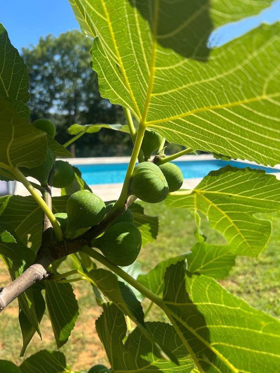 Gîte Padirac - Au Grand Bonheur