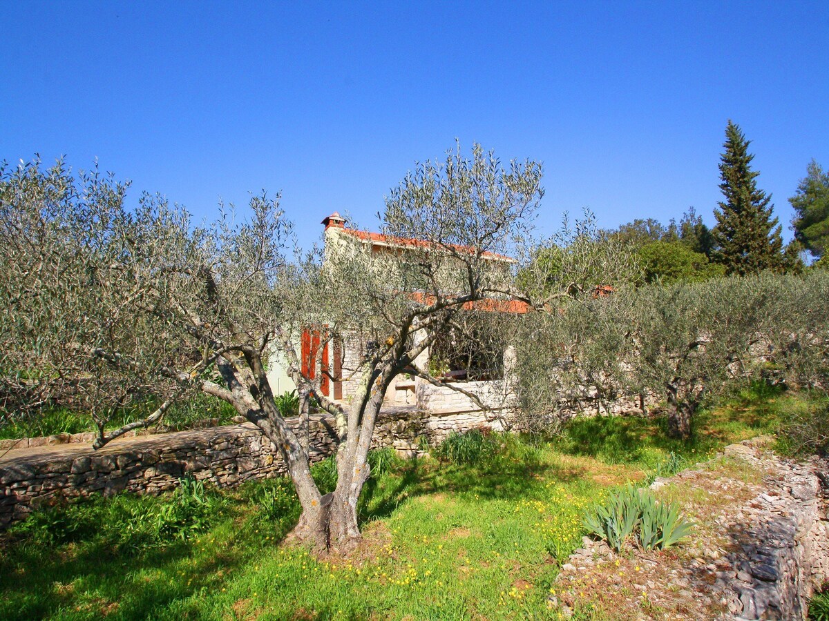 Green Olive's House Marinka