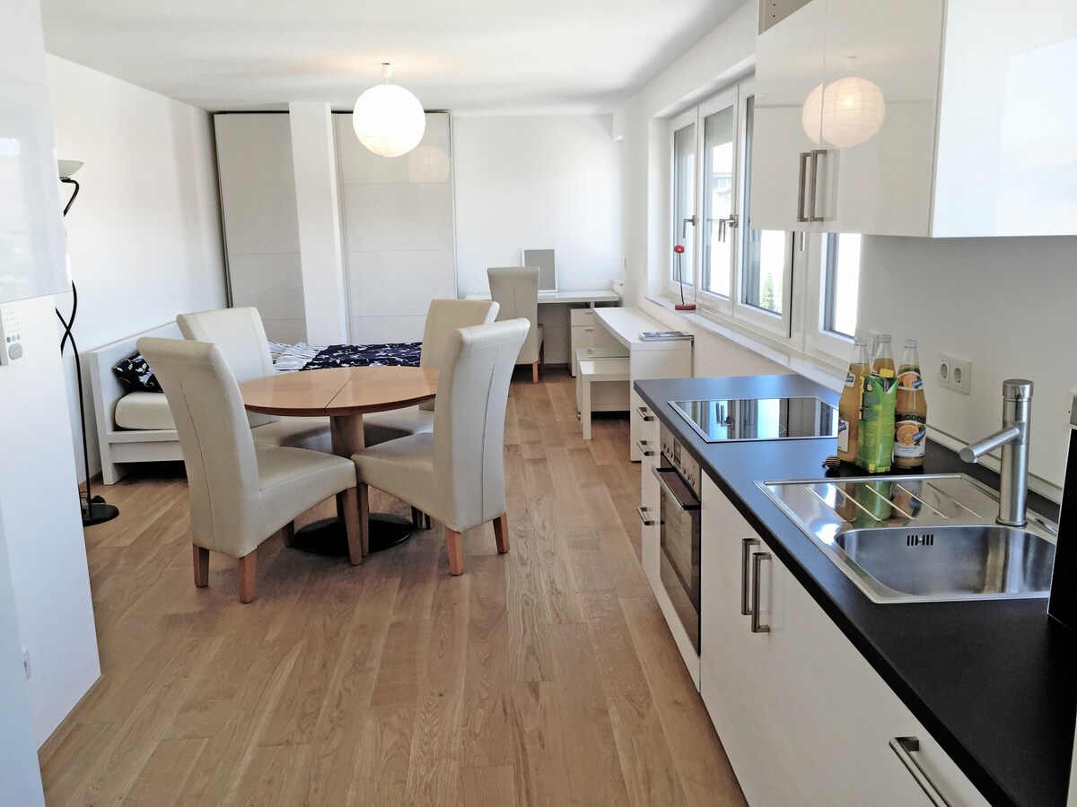 33 qm BodenSEE Apartments Friedrichshafen (164811)