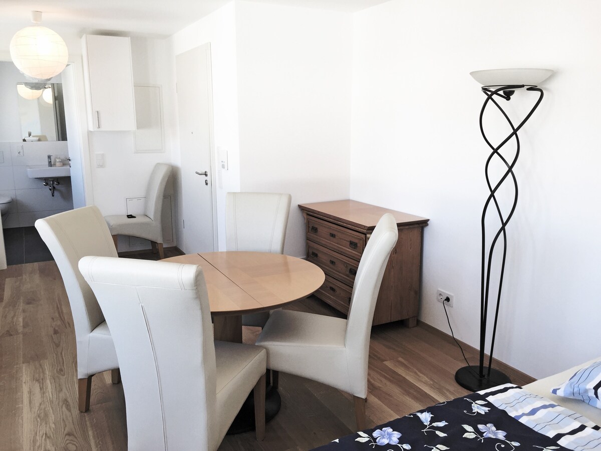 33 qm BodenSEE Apartments Friedrichshafen (164811)