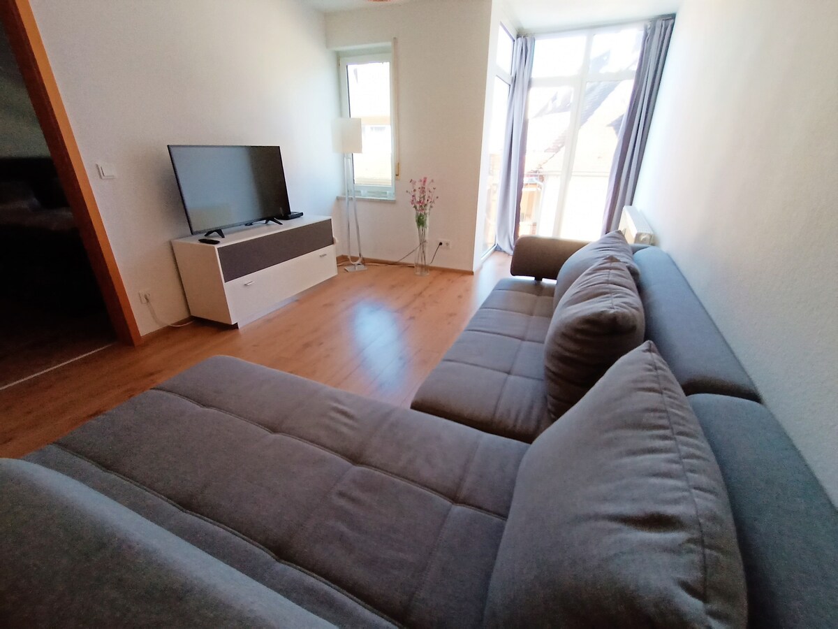 Ferienwohnung/App. für 3 Gäste mit 52m² in Friedrichshafen (164854)