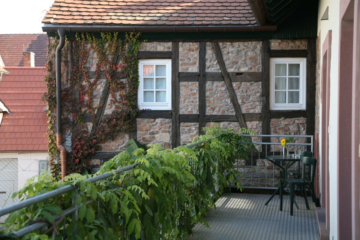 Alter Winzerhof Weisenheim am Berg Twin - Room