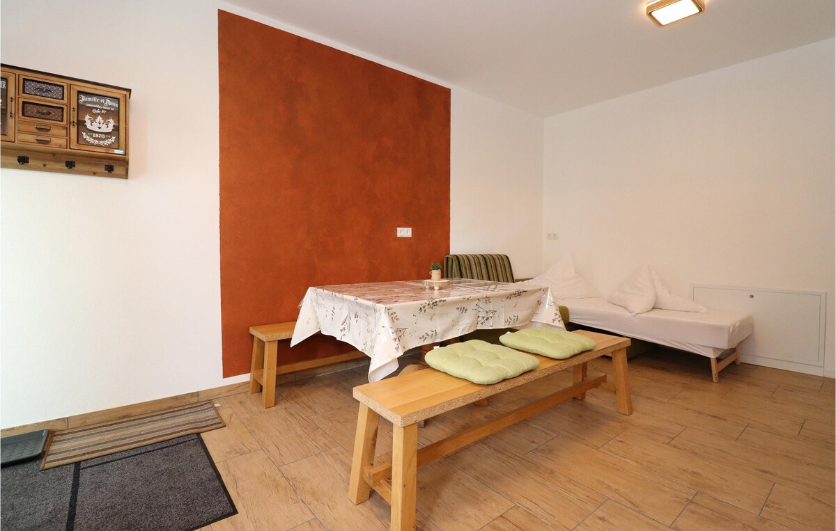 1 bedroom stunning apartment in Längenfeld