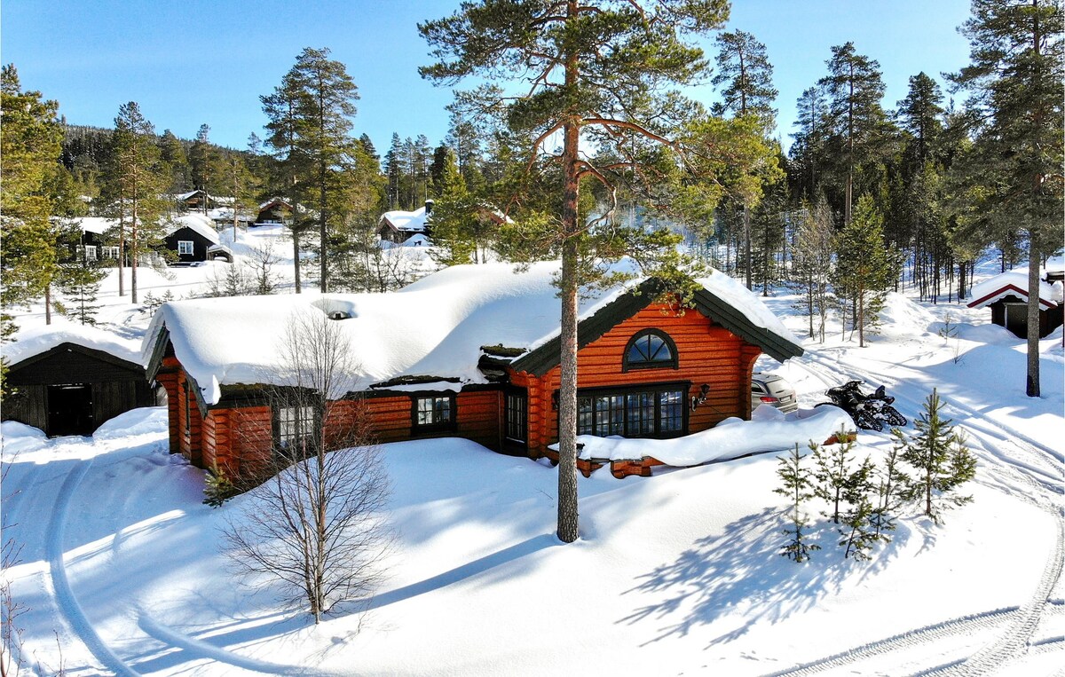 4 bedroom beautiful home in Sälen