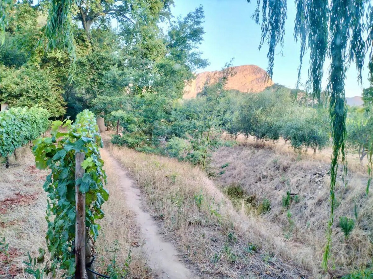 @The Well: Glamping Tent Between The Vineyards