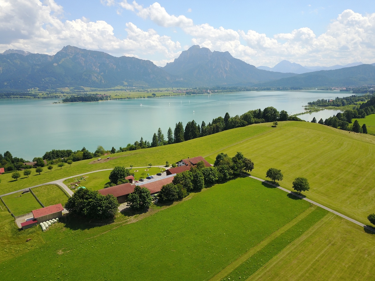 BIO-Bauernhof Salenberghof Ferienwohohnung Traumblic