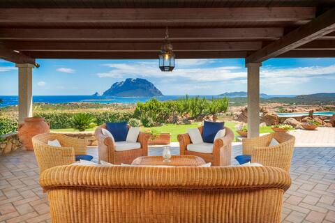 Villa Halliv - infinity pool overlooking Tavolara
